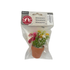 BLMINIATURES 1:12 - 1" Scale Dollhouse Miniature Assorted Colorful Flower Potted Plant in Terracotta Pot