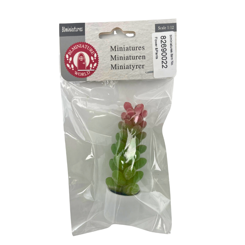 BLMINIATURES 1:12 - 1" Scale Dollhouse Miniature Green and Red Succulent Plant on White Base