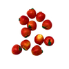 Blminiatures 1:12 Scale Dollhouse Miniature Red Apples - 2pcs Tiny Whole Fruit (1.2cm) for Dollhouse Kitchen Decor
