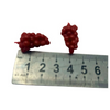 Blminiatures 1:12 Scale Dollhouse Miniature Red Grape Bunch Set - 2pcs Tiny Fruit (1cm Each) for Dollhouse Kitchen Decor