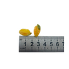 blminiatures Dollhouse Miniature Star Fruit