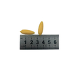blminiatures 1:12 Scale Dollhouse Miniature Corn - 2pcs Tiny Vegetables for Dollhouse Kitchen Decor