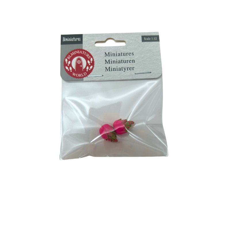 blminiatures 1:12 Scale Dollhouse Miniature Dragon Fruits - 2pcs Tiny Tropical Fruits for Dollhouse Kitchen Decor