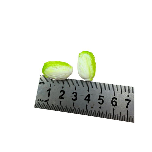 blminiatures 1:12 Scale Dollhouse Miniature Napa Cabbage / Chinese Cabbage - 2pcs Tiny Vegetables for Dollhouse Kitchen Decor